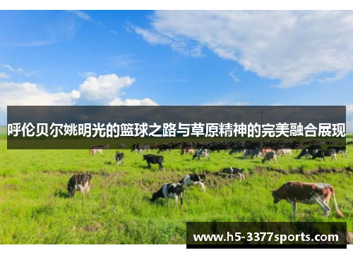 呼伦贝尔姚明光的篮球之路与草原精神的完美融合展现
