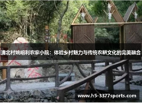 清北村姚明利农家小院：体验乡村魅力与传统农耕文化的完美融合