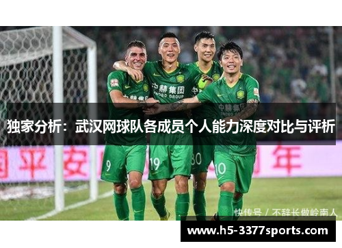 独家分析：武汉网球队各成员个人能力深度对比与评析