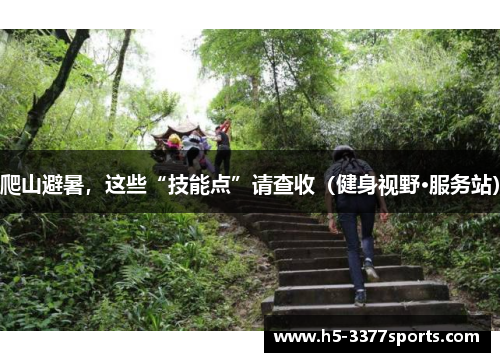 爬山避暑，这些“技能点”请查收（健身视野·服务站）